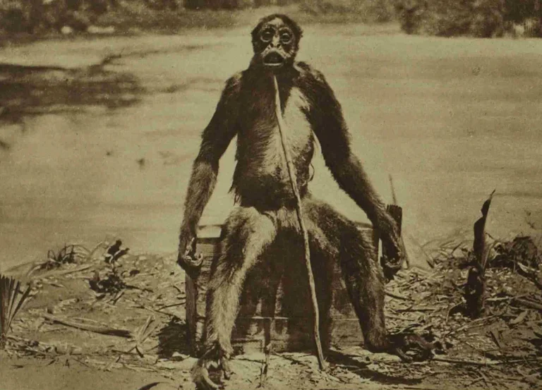 La Criatura del Ferrocarril | ACDM 29-01-26