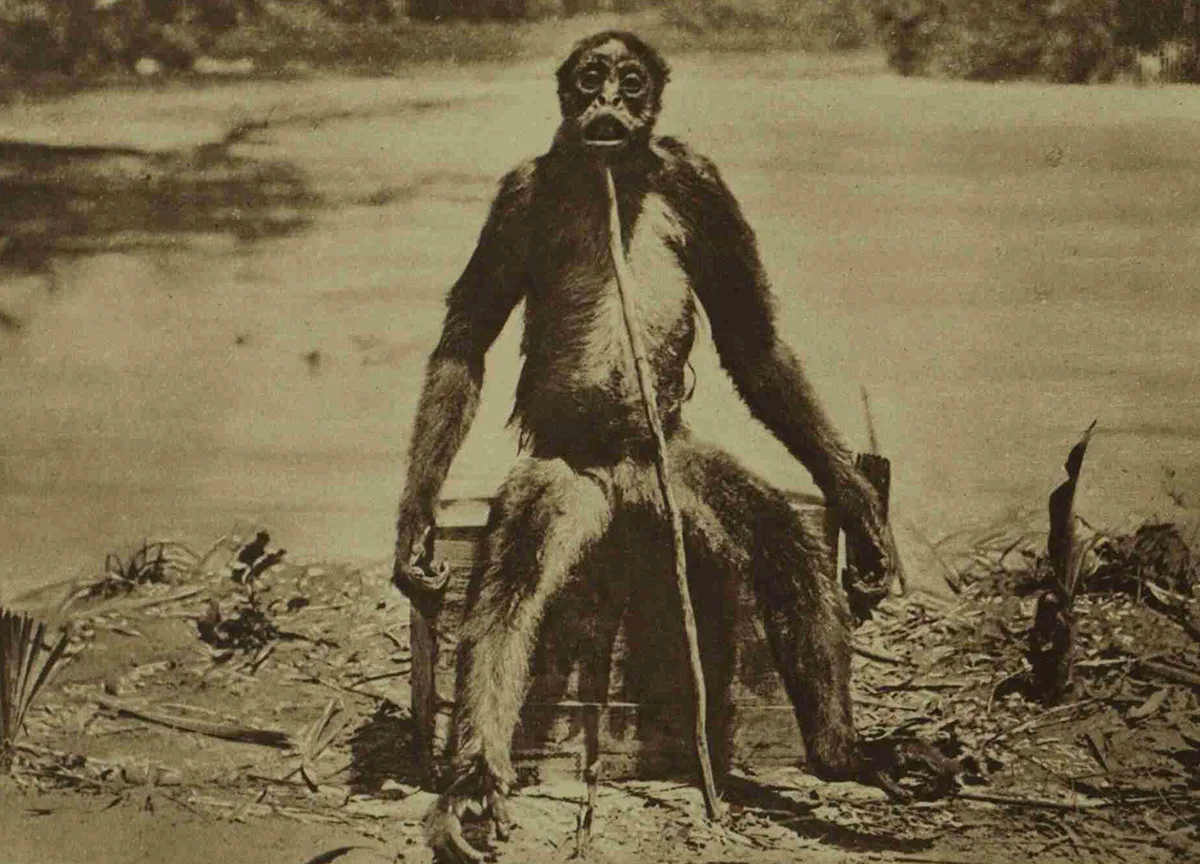 La criatura del ferrocarril