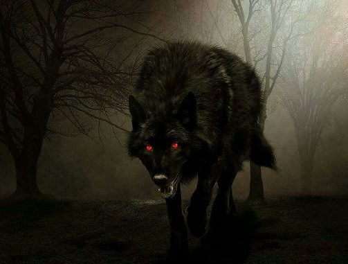 La Leyenda del Cadejo | l27-04-26