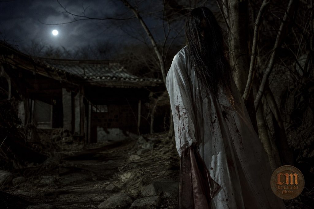 la cheonyeo gwisin - calledelmiedo.com