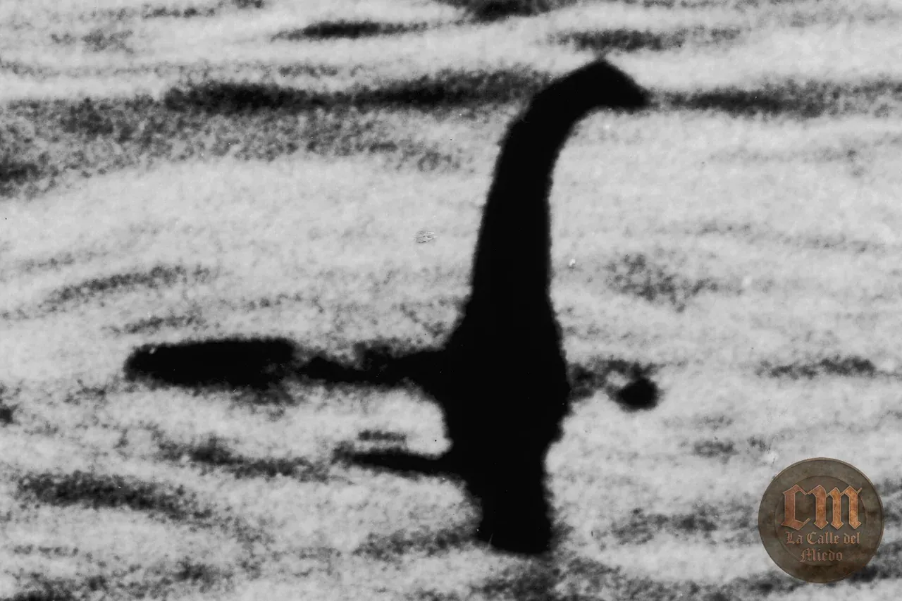 Nessie y la foto del Cirujano — imagen documental 1