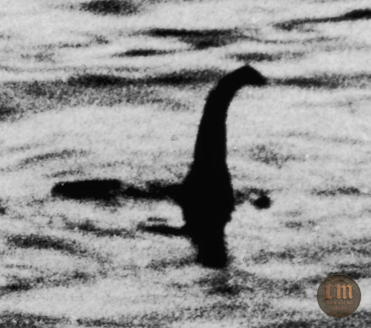 Nessie y la foto del Cirujano — imagen documental 1