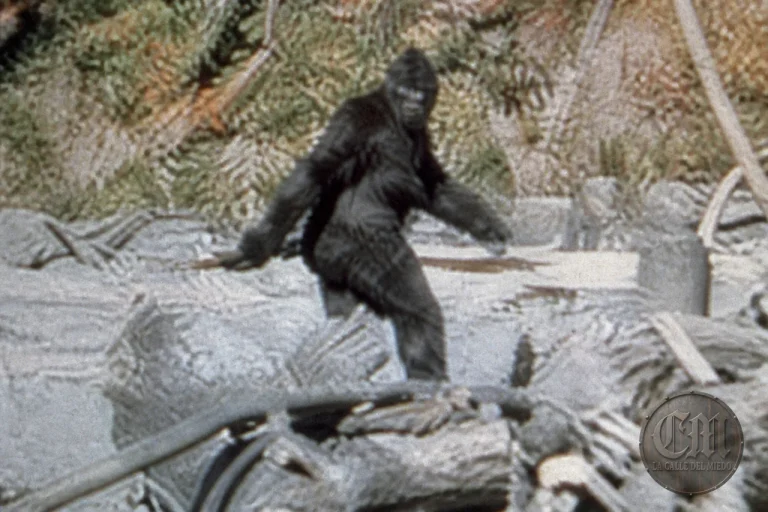 La filmación de Patterson–Gimlin