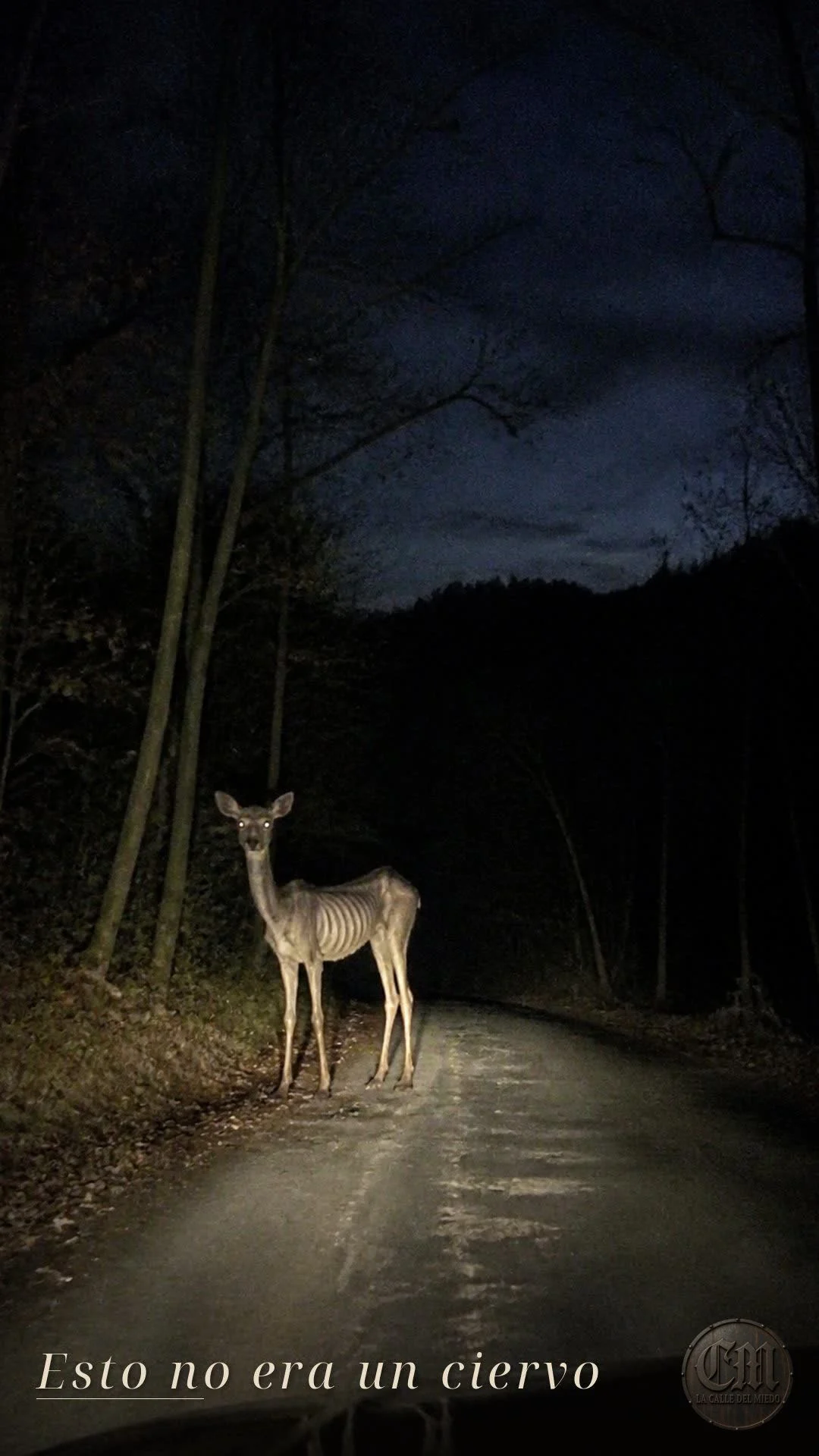 Esto no era un ciervo: el Appalachian horror digital | A180826