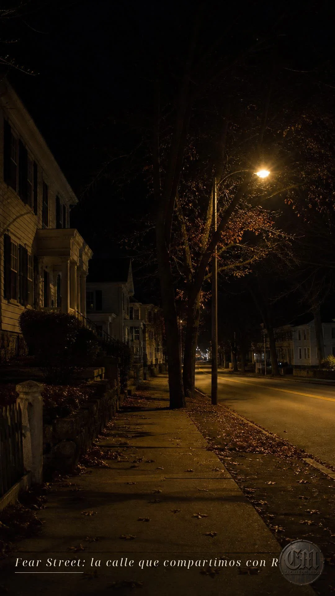 Fear Street: la saga que convirtió a la calle del miedo en leyenda | A180726