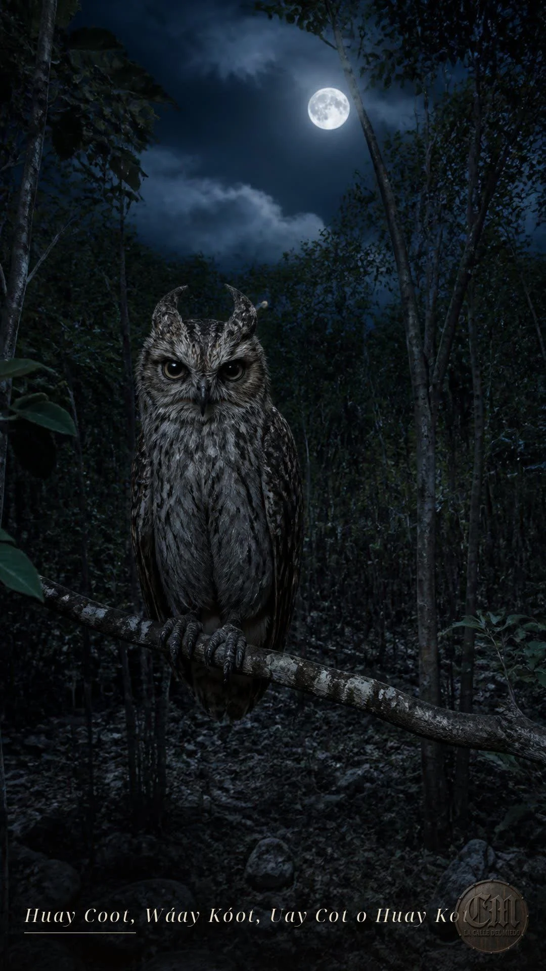 Huay Coot, Wáay Kóot, Uay Cot o Huay Kot, de noche