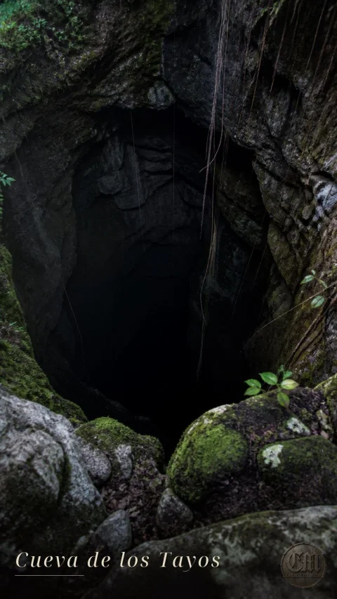La Cueva de los Tayos | C180826