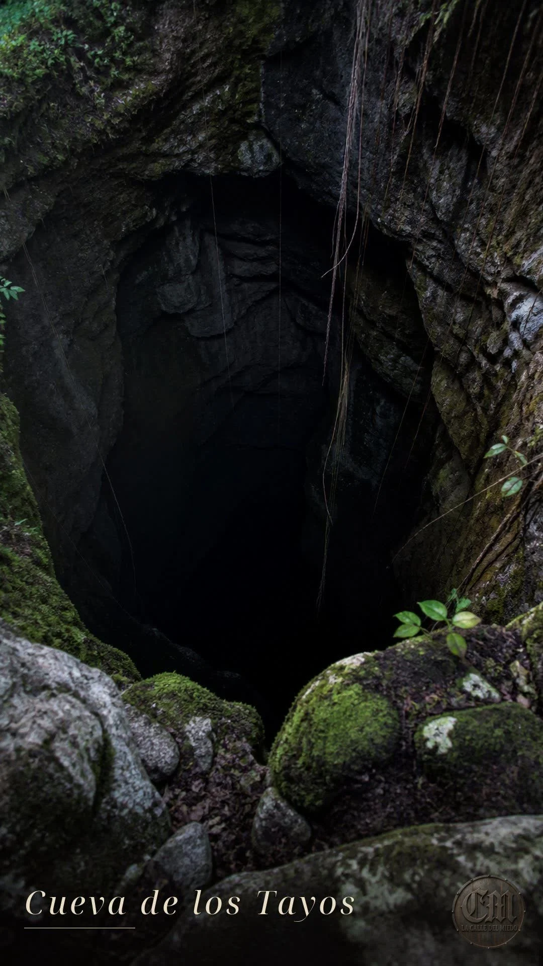 La Cueva de los Tayos | C180826