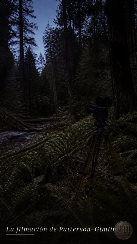 La filmación de Patterson–Gimlin | F130726