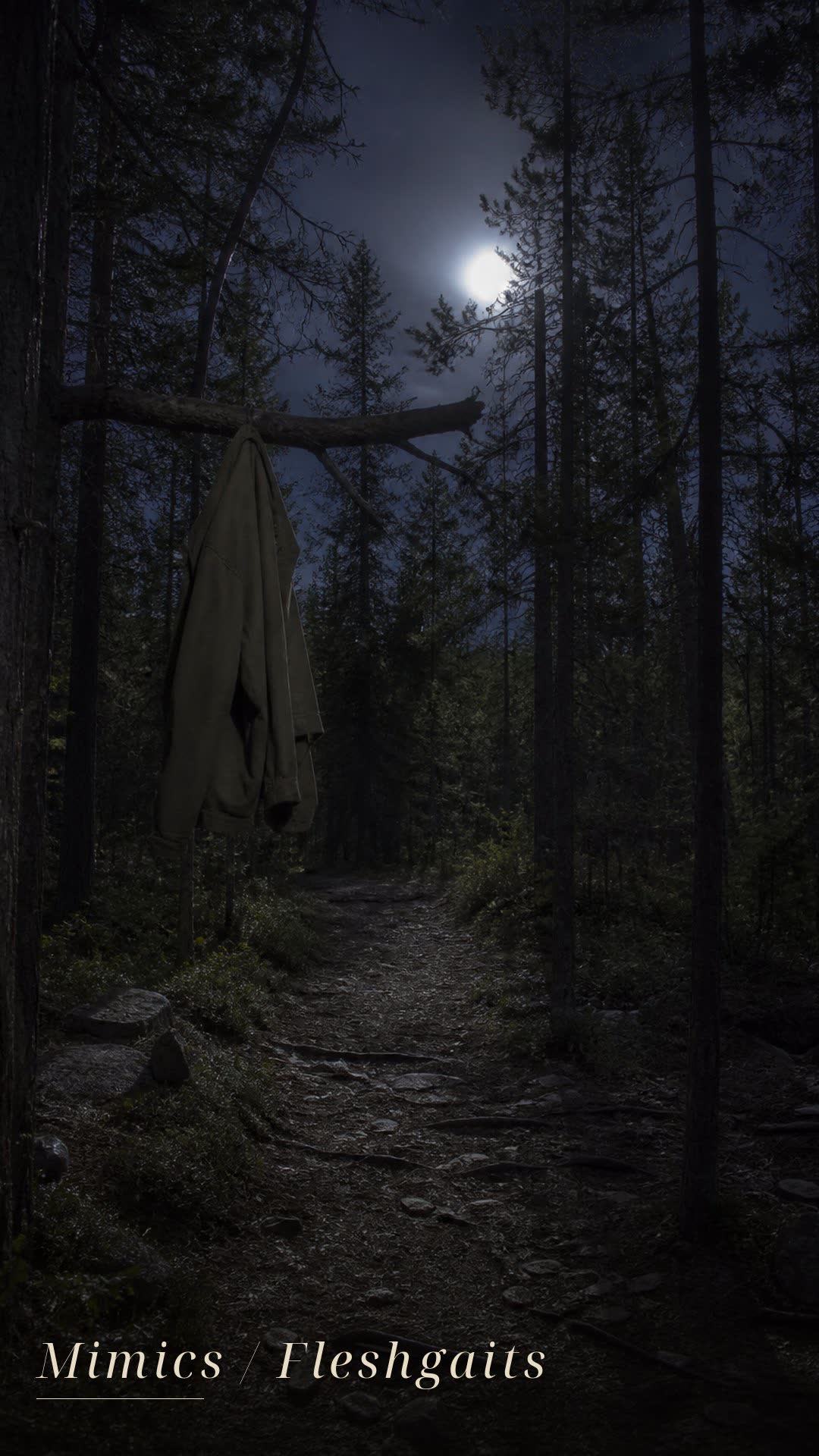 Mimics / Fleshgaits, de noche