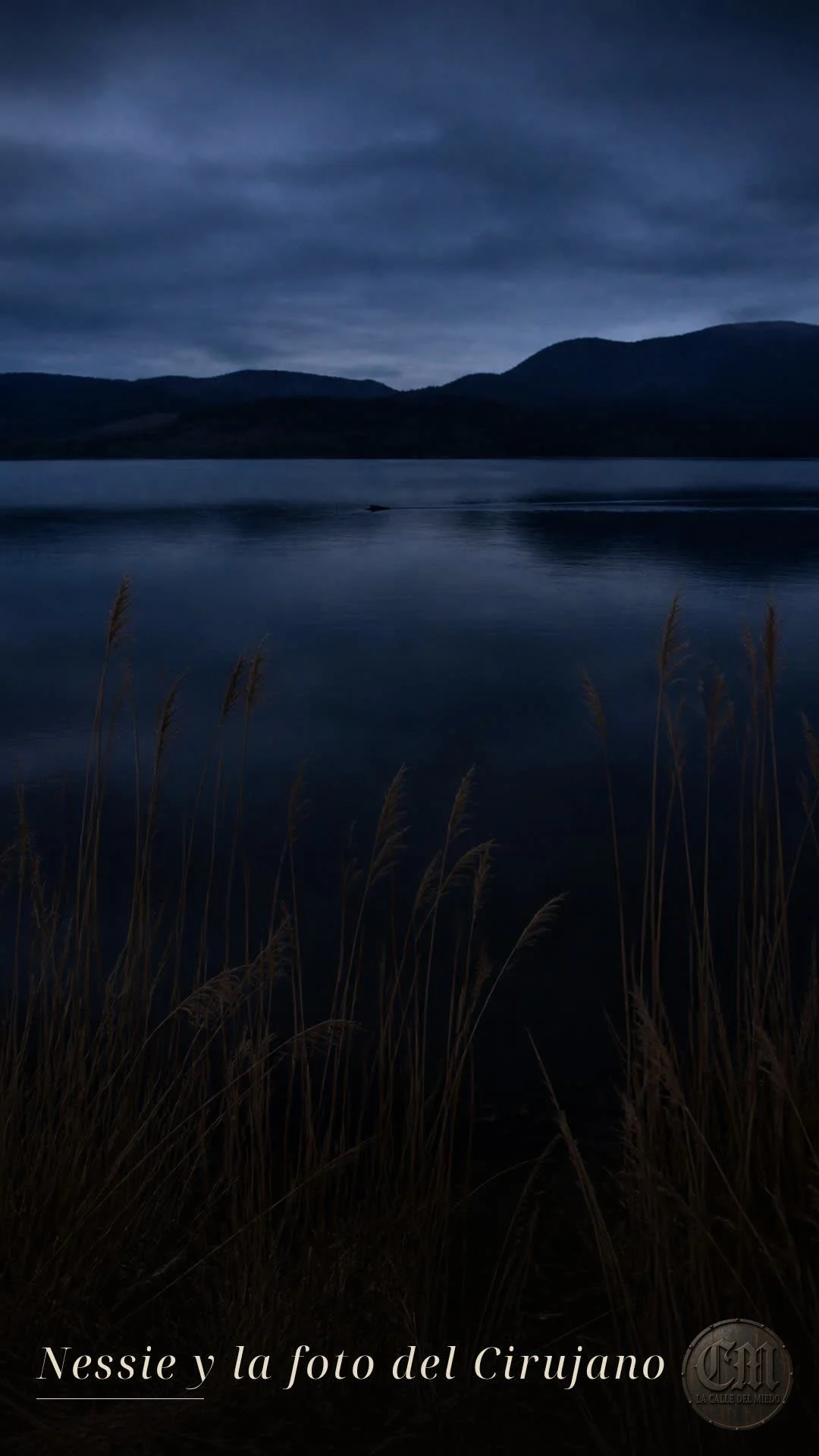 Nessie y la foto del Cirujano, de noche