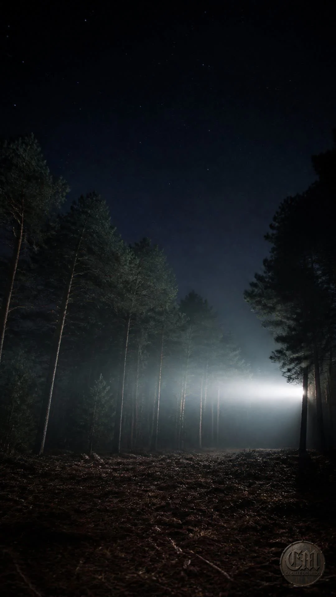 Rendlesham Forest, umbral