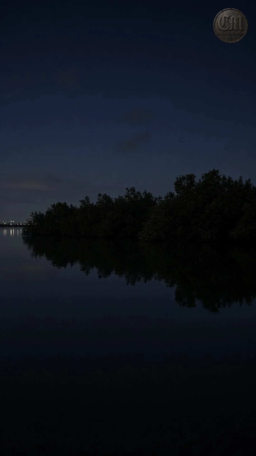 Nichupté de día: manglar, agua quieta y la laguna detrás de la zona hotelera de Cancún, a plena luz.